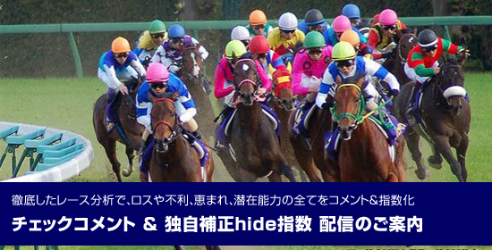 hide指数競馬新聞